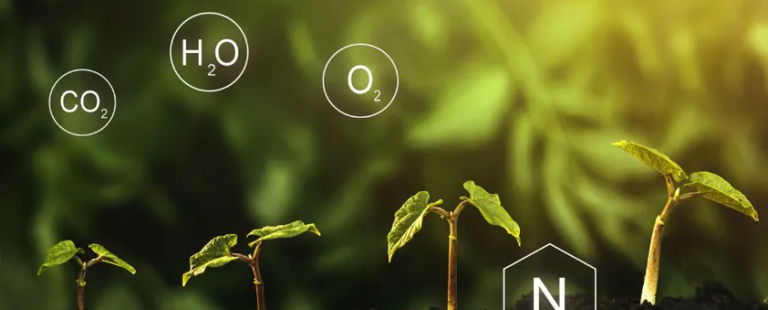 What are Micronutrients? Types, Functions, Benefits